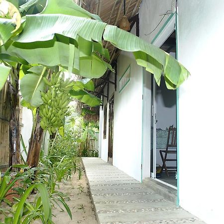 An Bang Little Family Apartment Hoi An Bagian luar foto