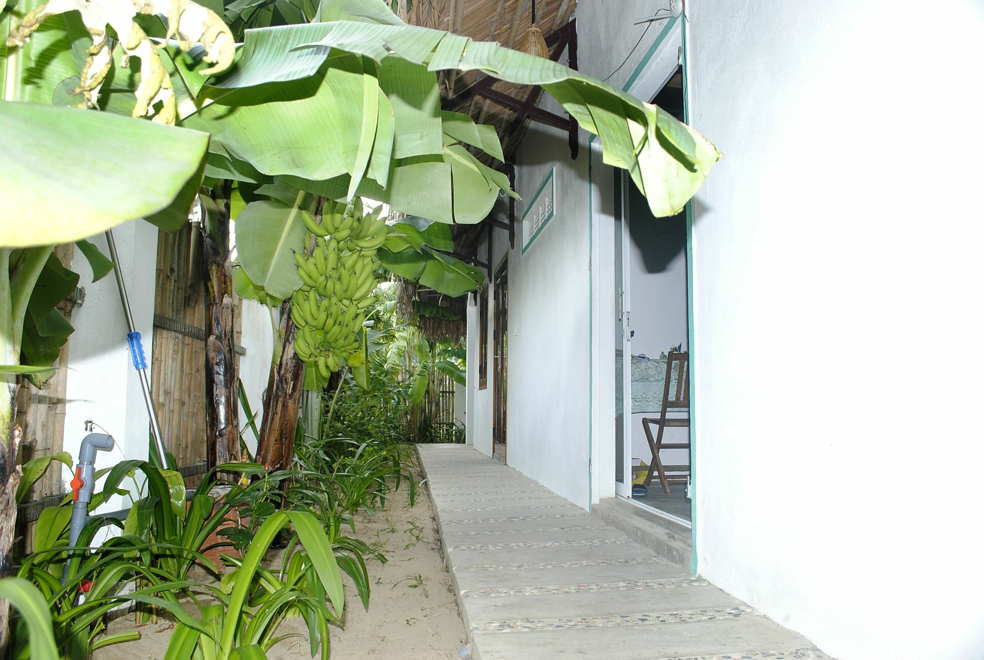 An Bang Little Family Apartment Hoi An Bagian luar foto