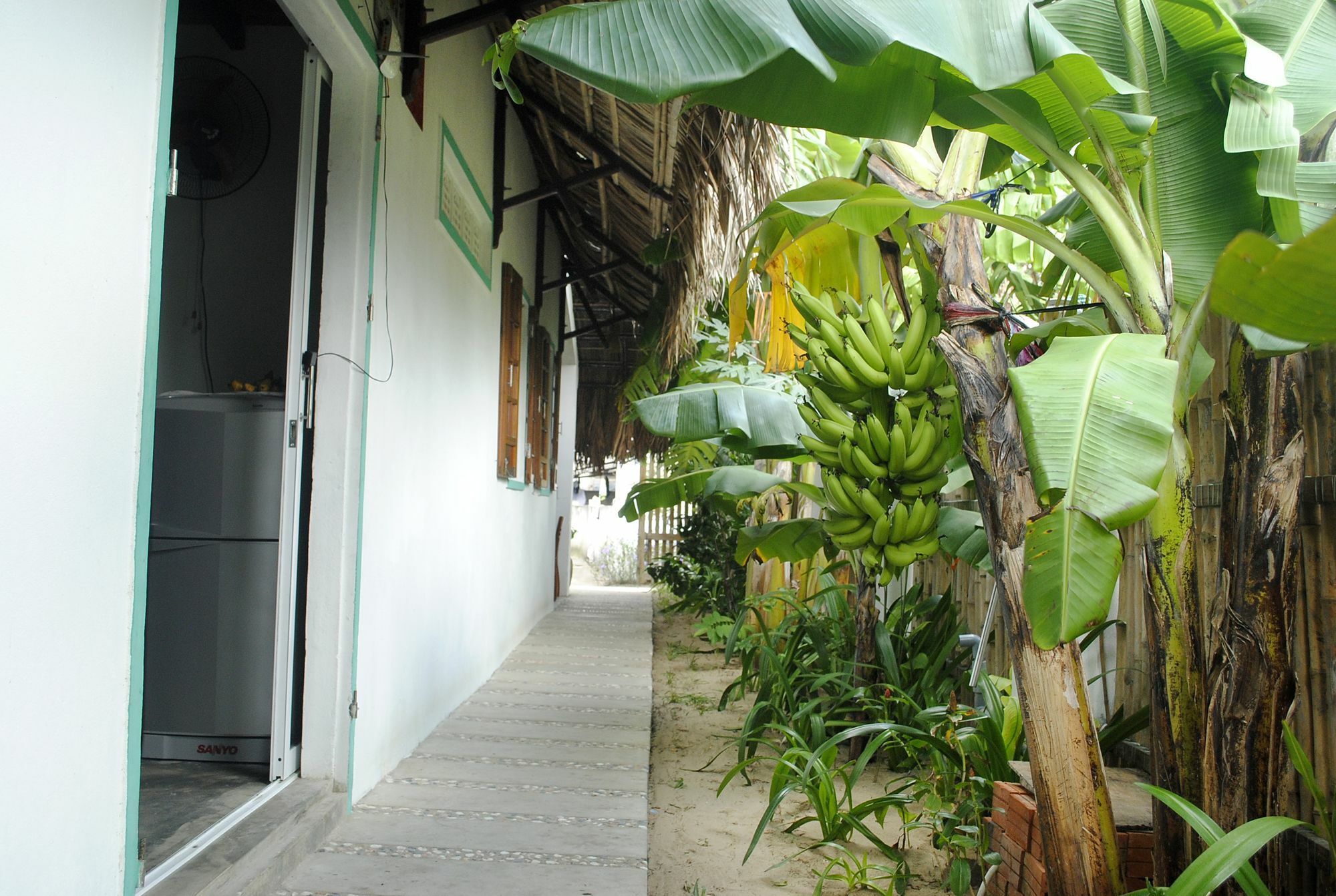 An Bang Little Family Apartment Hoi An Bagian luar foto
